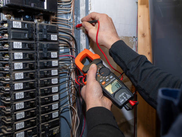 Best Local Electrician Companies  in Rocky Point, NC